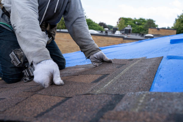 Best Affordable Roofing Company  in Rose Lodge, OR